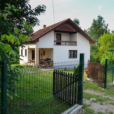 Kuca Za Odmor Radovanovic Despotovac Exteriör bild