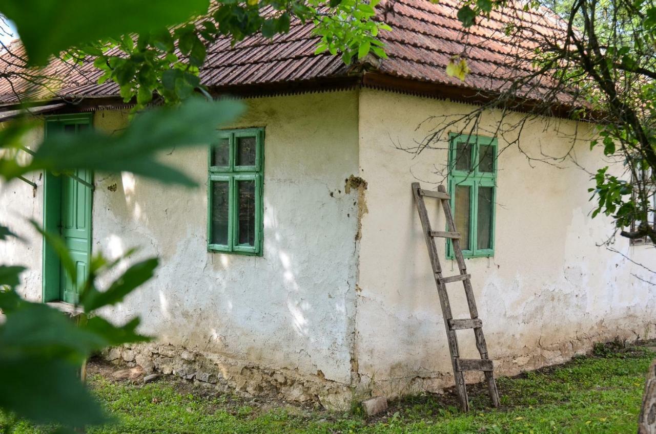 Kuca Za Odmor Radovanovic Despotovac Exteriör bild