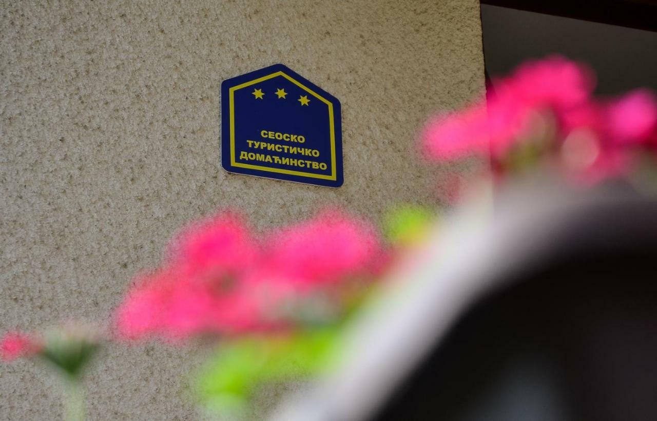 Kuca Za Odmor Radovanovic Despotovac Exteriör bild
