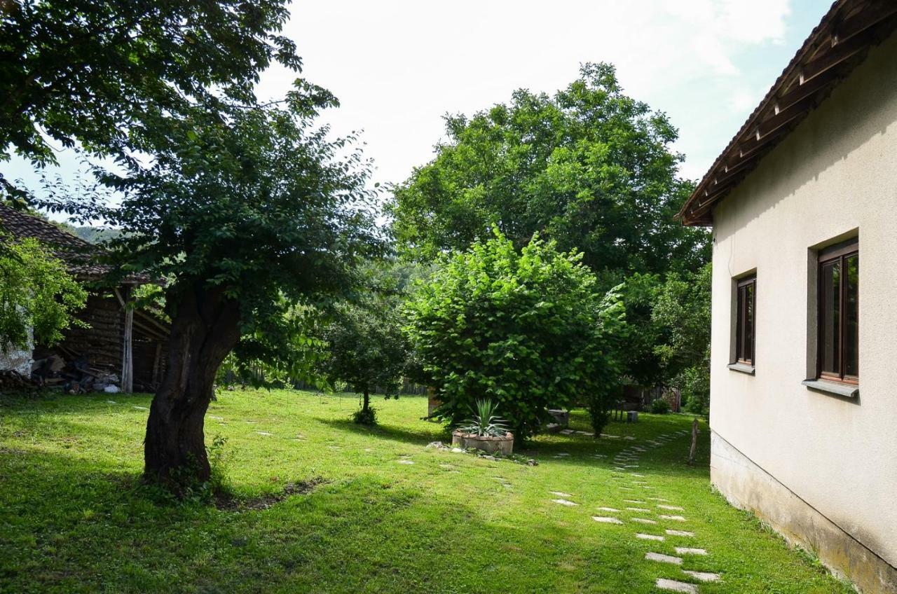 Kuca Za Odmor Radovanovic Despotovac Exteriör bild