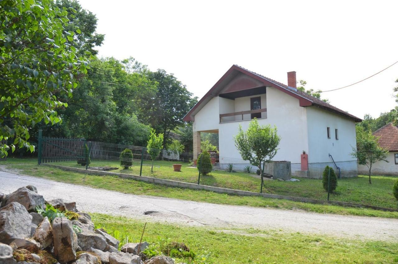 Kuca Za Odmor Radovanovic Despotovac Exteriör bild