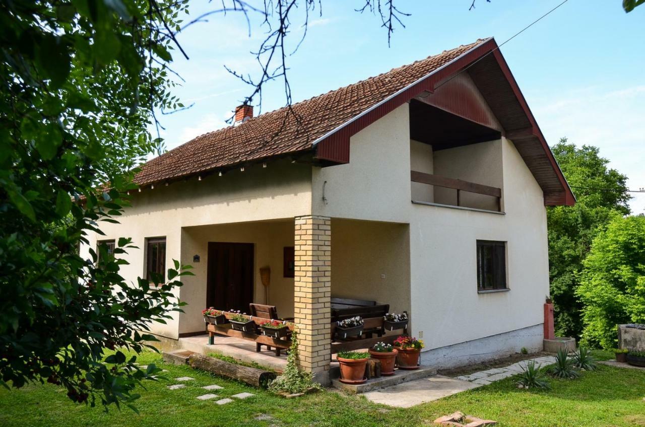 Kuca Za Odmor Radovanovic Despotovac Exteriör bild