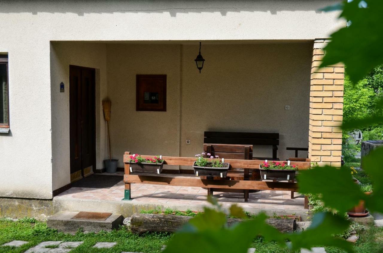 Kuca Za Odmor Radovanovic Despotovac Exteriör bild