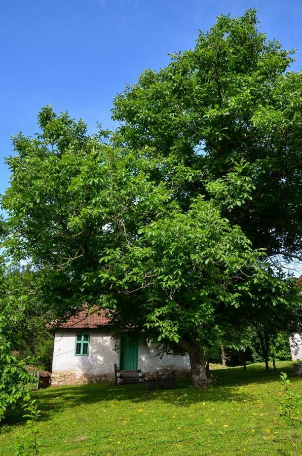 Kuca Za Odmor Radovanovic Despotovac Exteriör bild